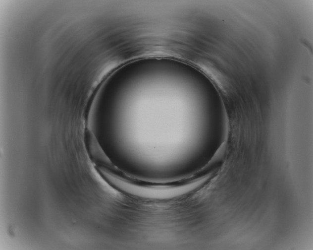 X0000097751476200803141546