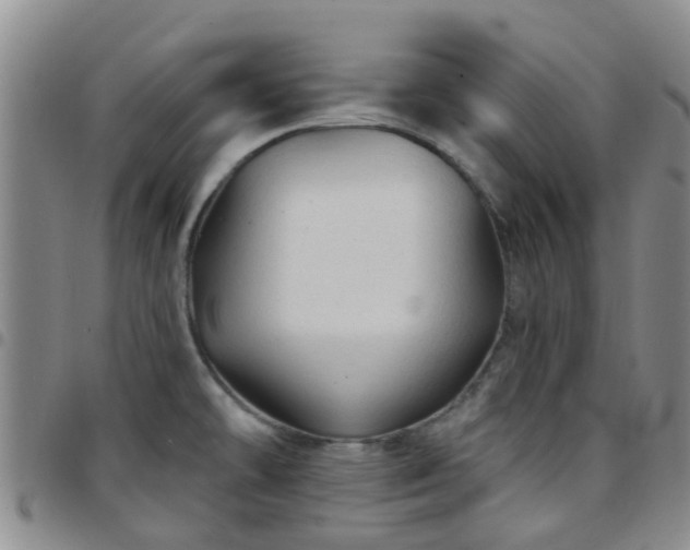 X0000097751478200803141546