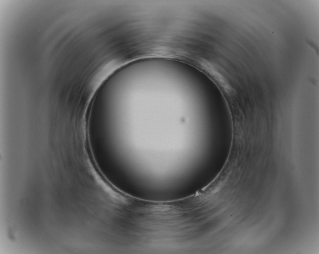 X0000097751479200803141546