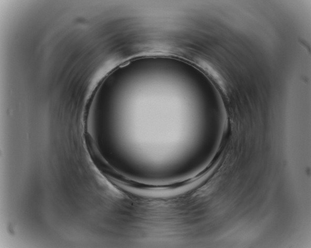 X0000097751480200803141546