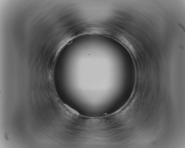 X0000097751481200803141546