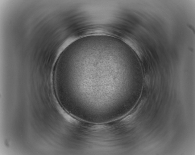 X0000097751482200803141546