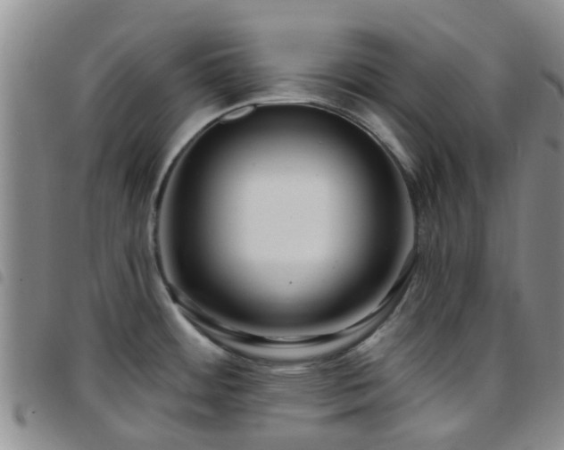 X0000097751484200803141545