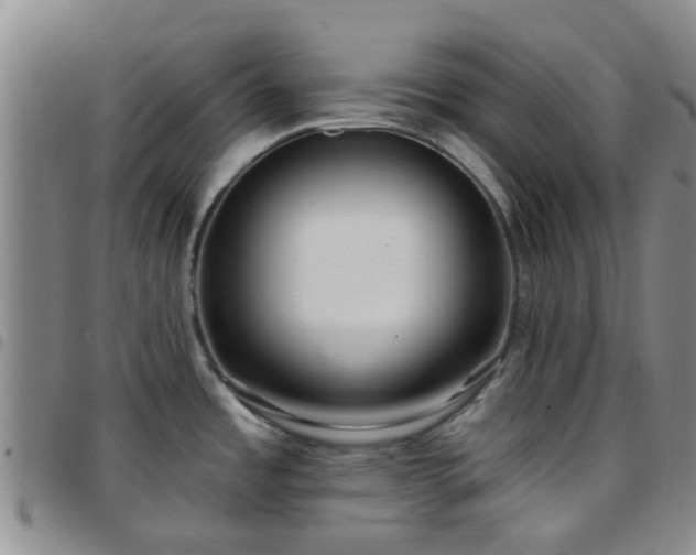 X0000097751485200803141545