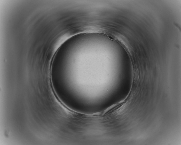 X0000097751487200803141545