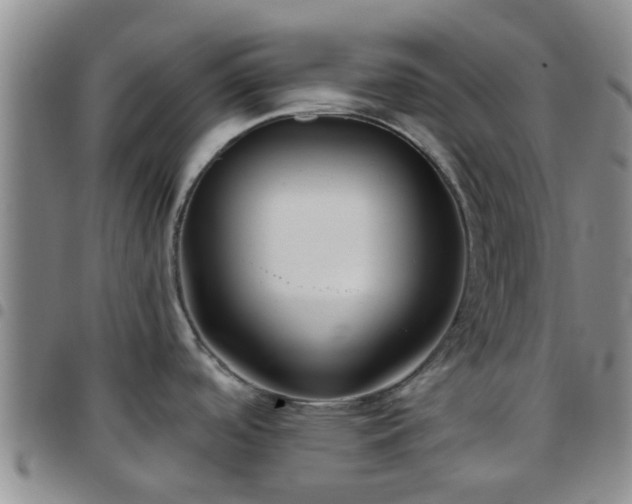 X0000097751488200803141545