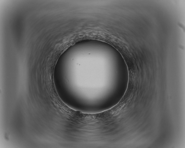 X0000097751489200803141545