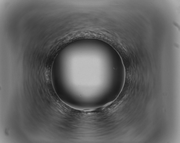 X0000097751490200803141545