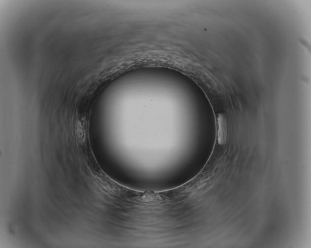 X0000097751491200803141545