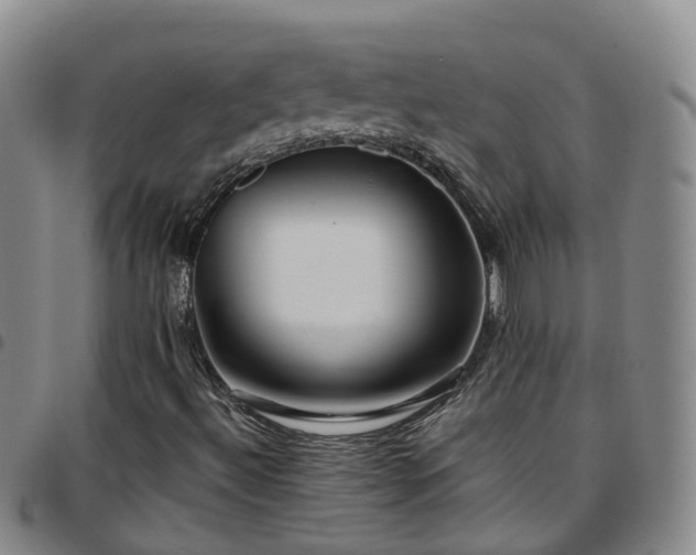 X0000097751492200803141545