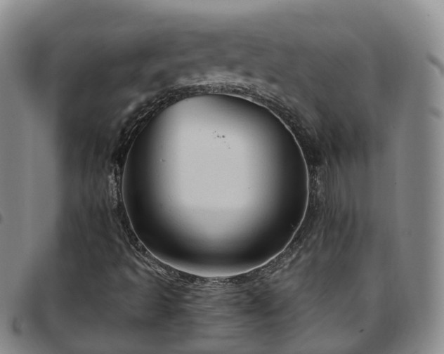 X0000097751493200803141545