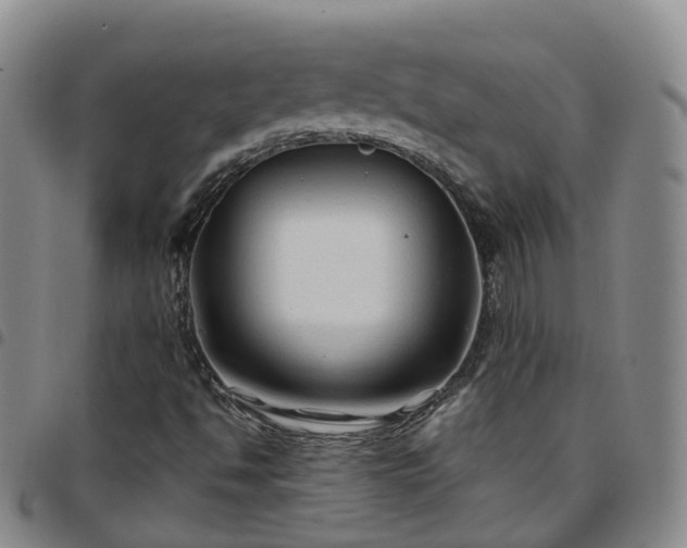 X0000097751494200803141545