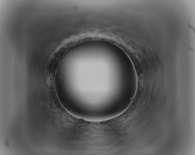 X0000097751495200803141545