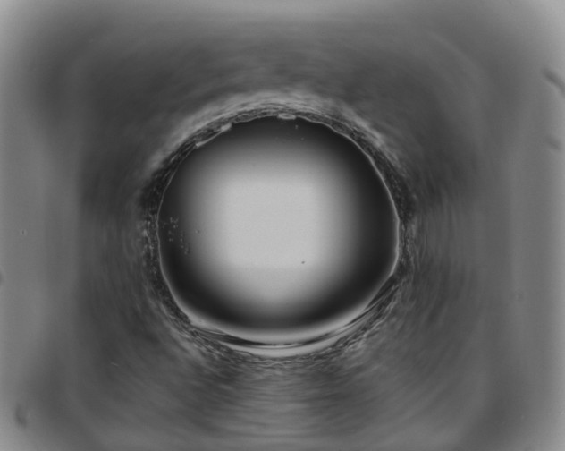 X0000097751496200803141545