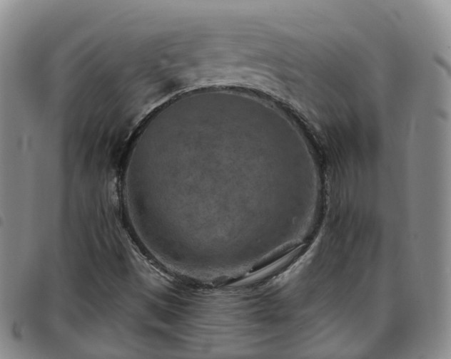 X0000097751497200803141545