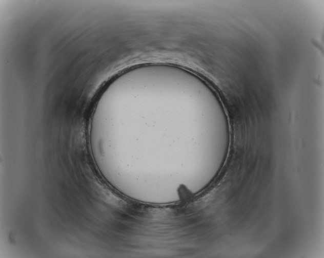 X0000097751498200803141545