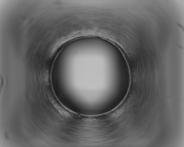 X0000097751499200803141545