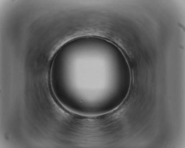 X0000097751500200803141545