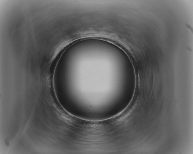 X0000097751501200803141545