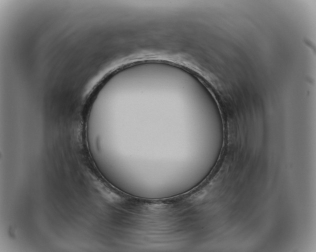 X0000097751502200803141545