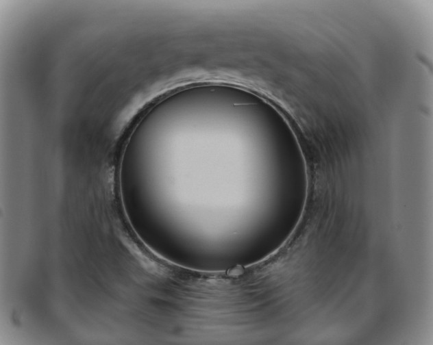 X0000097751503200803141545