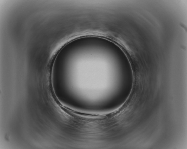 X0000097751504200803141545