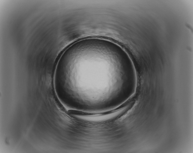 X0000097751505200803141545