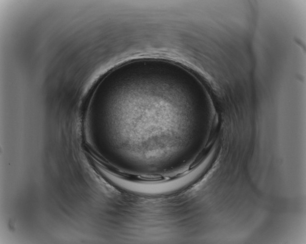 X0000097751506200803141545