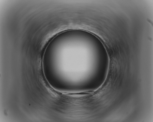 X0000097751507200803141545