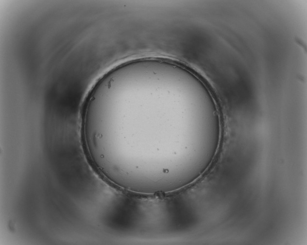 X0000097751508200803141545