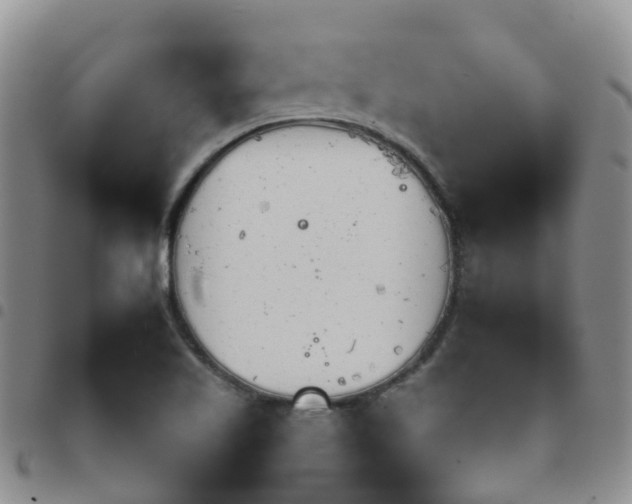 X0000097751509200803141545