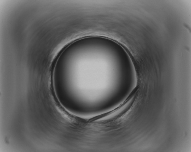 X0000097751511200803141545