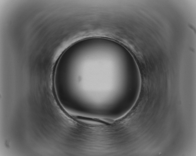 X0000097751512200803141545