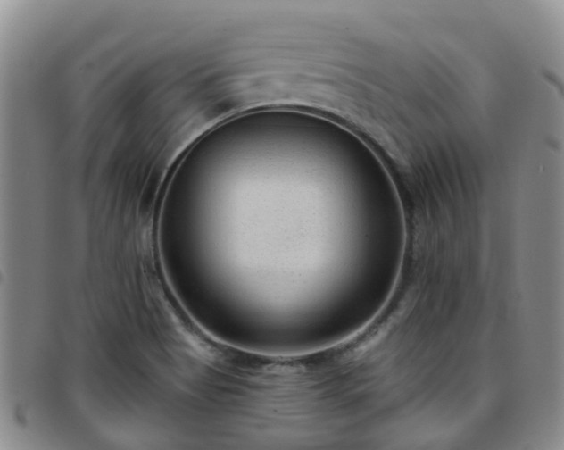 X0000097751513200803141545