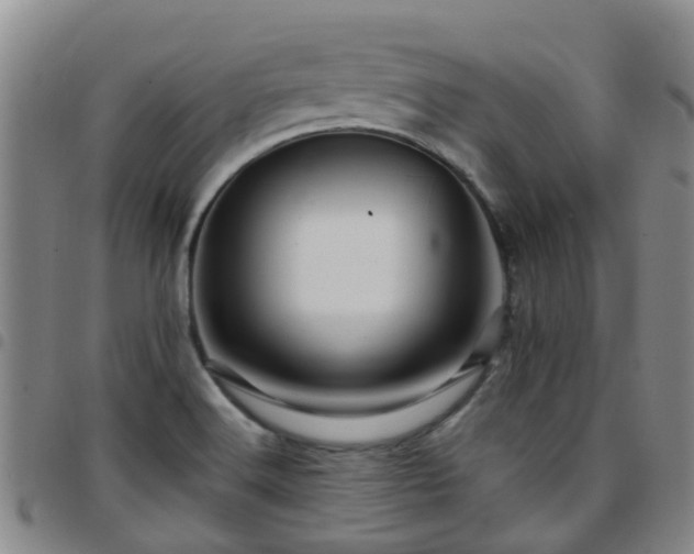 X0000097751516200803141545