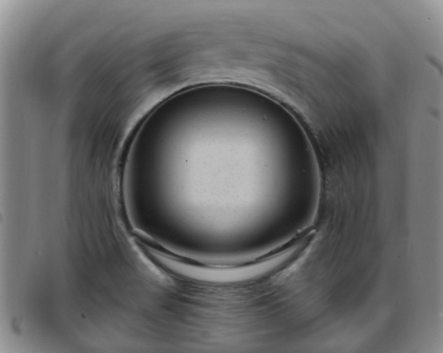 X0000097751517200803141545