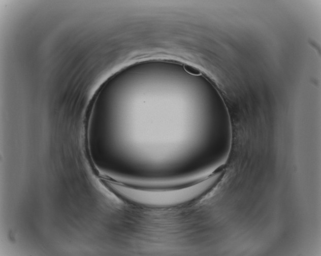 X0000097751518200803141545