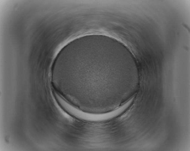 X0000097751519200803141545