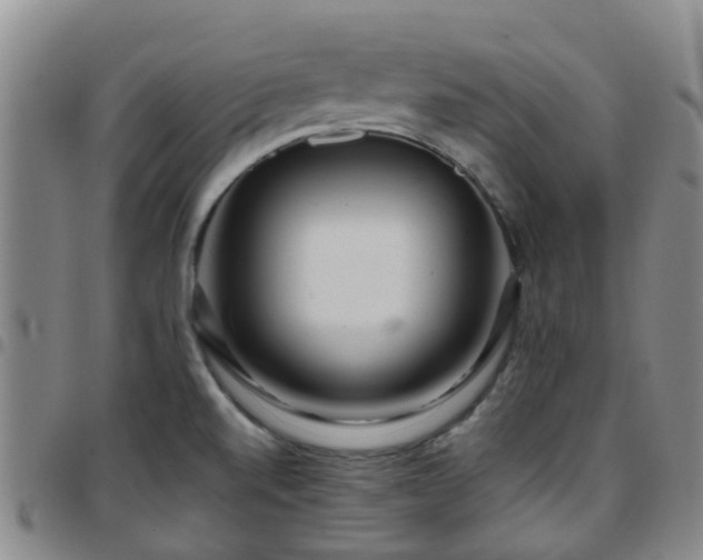 X0000097751520200803141545