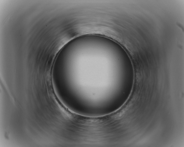 X0000097751521200803141545