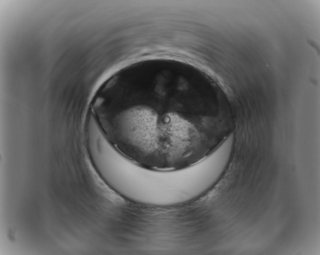 X0000097751522200803141545