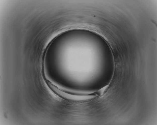 X0000097751523200803141545