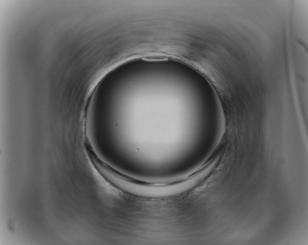 X0000097751524200803141545