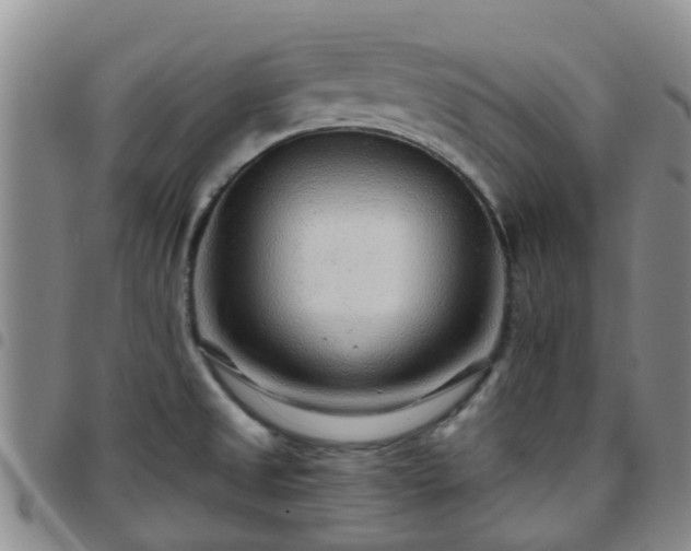 X0000097751525200803141545