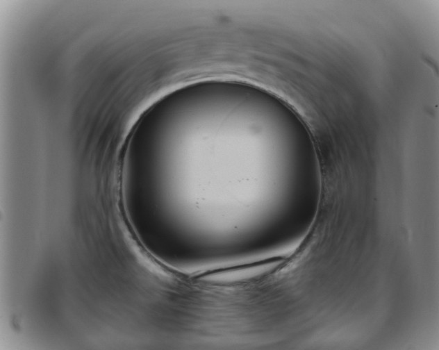 X0000097751526200803141545