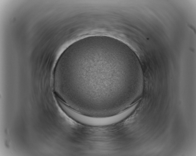 X0000097751527200803141545