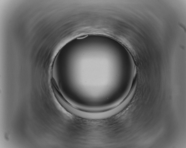 X0000097751528200803141545