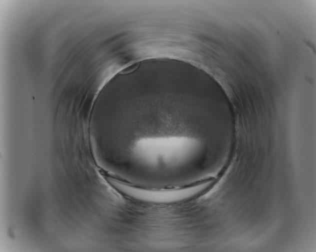 X0000097751529200803141545