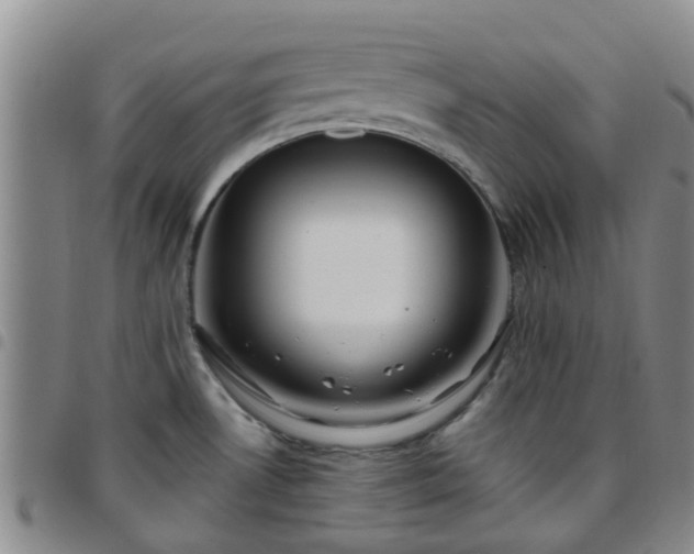 X0000097751530200803141545