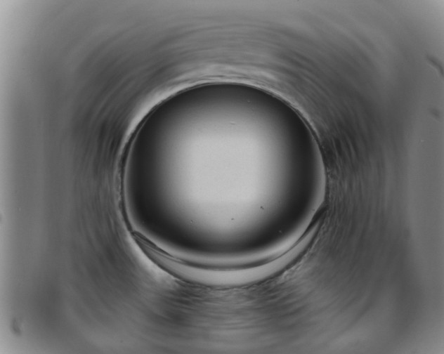 X0000097751531200803141545